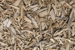 biomass boilers Pipe Ridware
